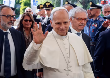 Pope Leo diagnosed with cancer as doctors remove part of lung, Vatican says